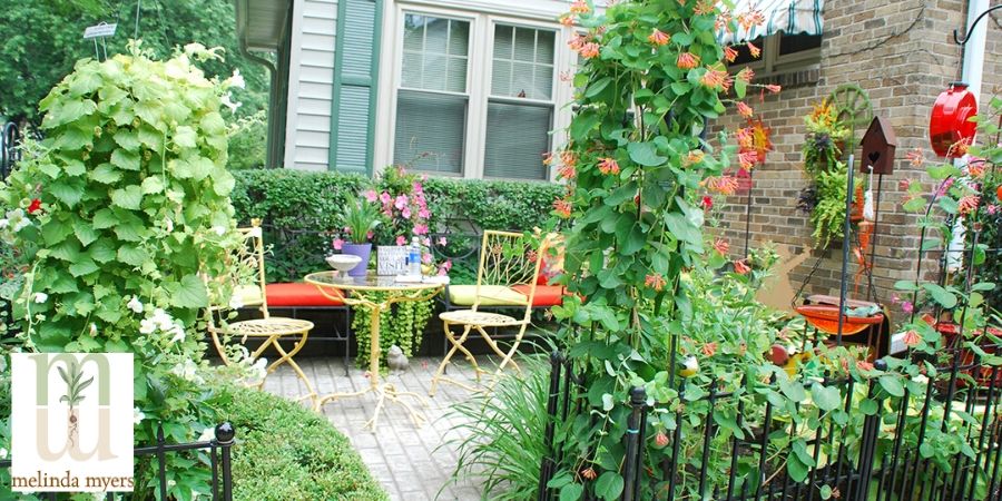 gardening on a small patio