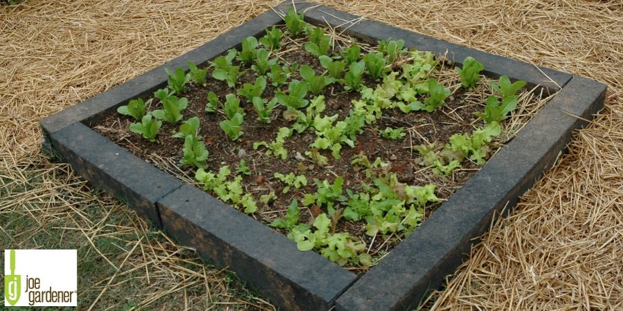 Stone Raised Garden Bed