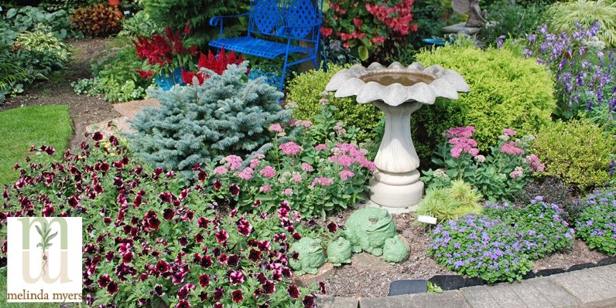 bird bath in small garden